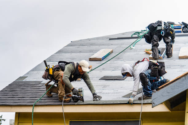 Professional Gutter Installation technician working in Holland, TX